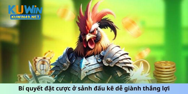 Bí quyết đặt cược ở sảnh đấu kê dễ giành thắng lợi